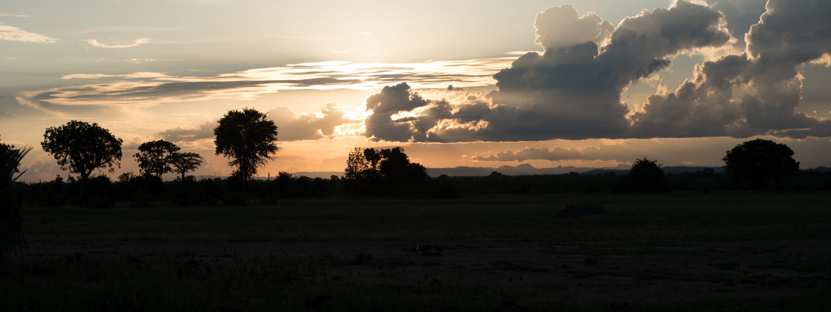 Course Catalogue Banner