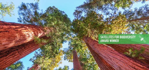 X Labs Hero Banner (1)