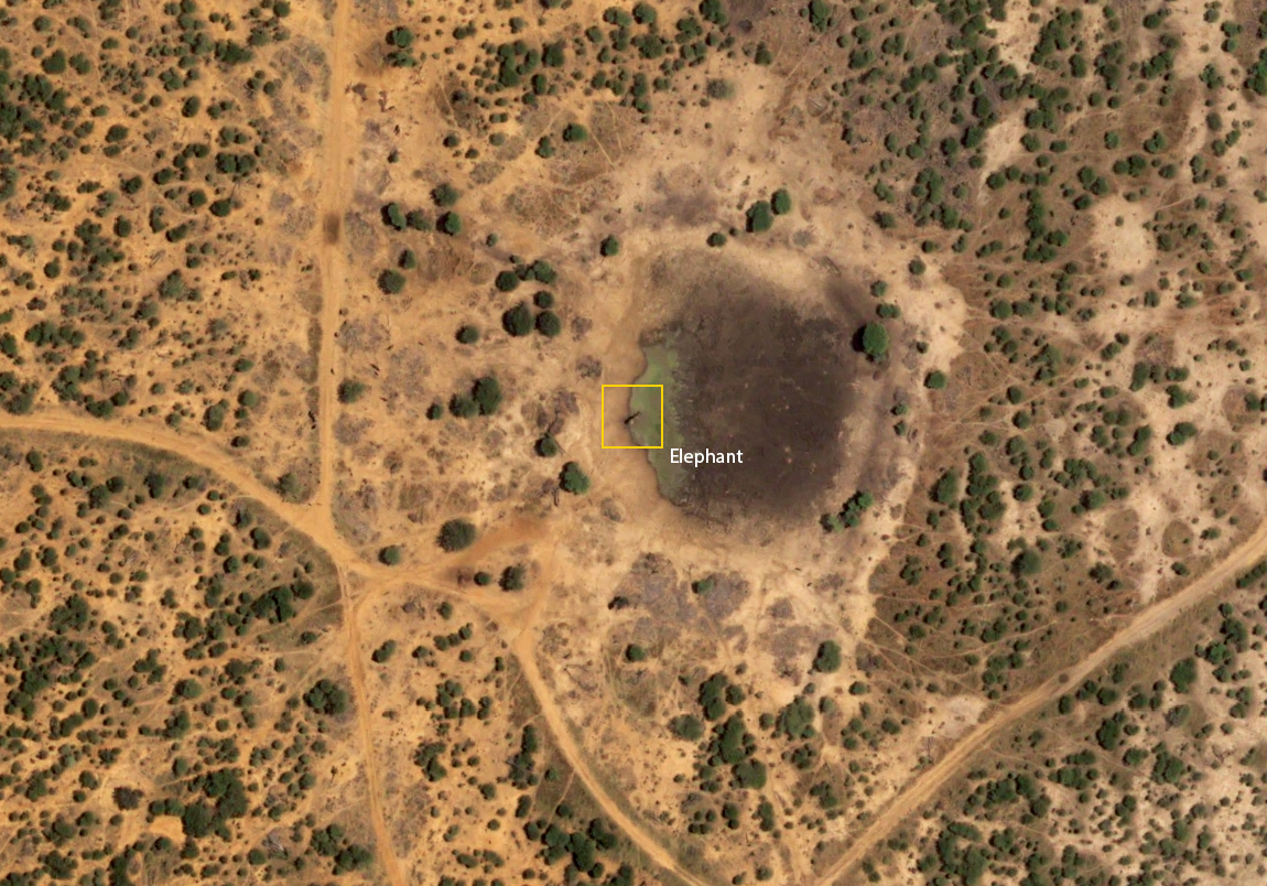 Madikwe, Pleides Neo (C) Airbus DS 2022