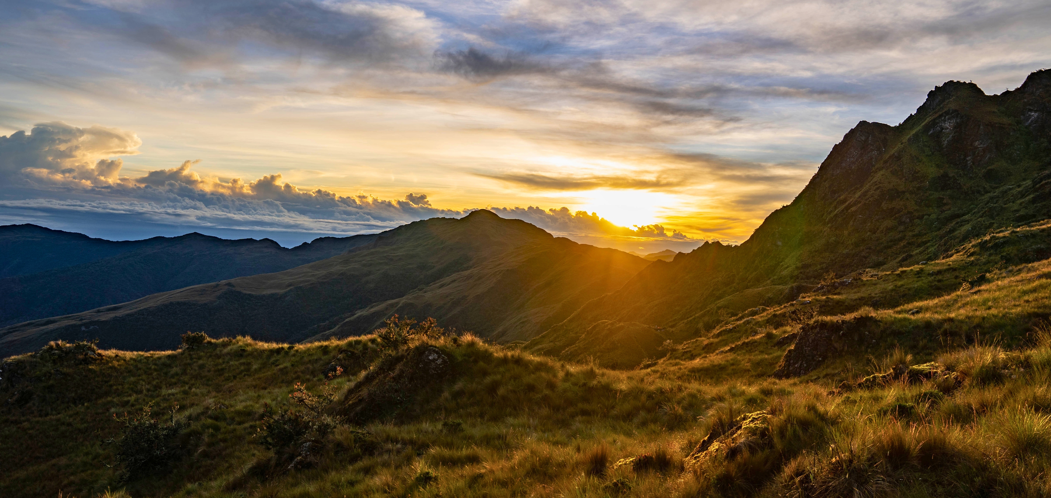 Annual Report 25 Banner (2)