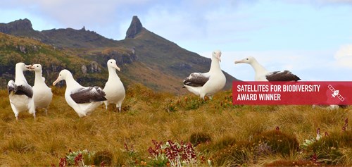 Albatross Hero Banner (1)