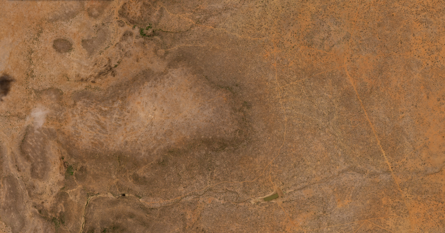 Loisaba, Kenya Pleiades Neo (C) 2023 Distribution Airbus DS
