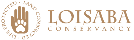 Loisaba Gold Logo