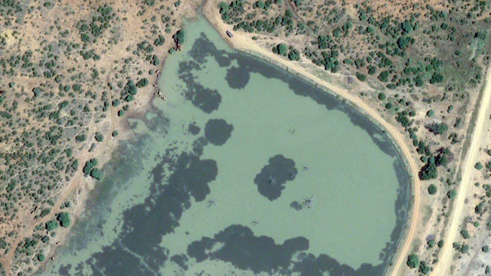 Madikwe, Pleides Neo (C) Airbus DS 2022