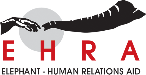EHRA+Logo Final (1)