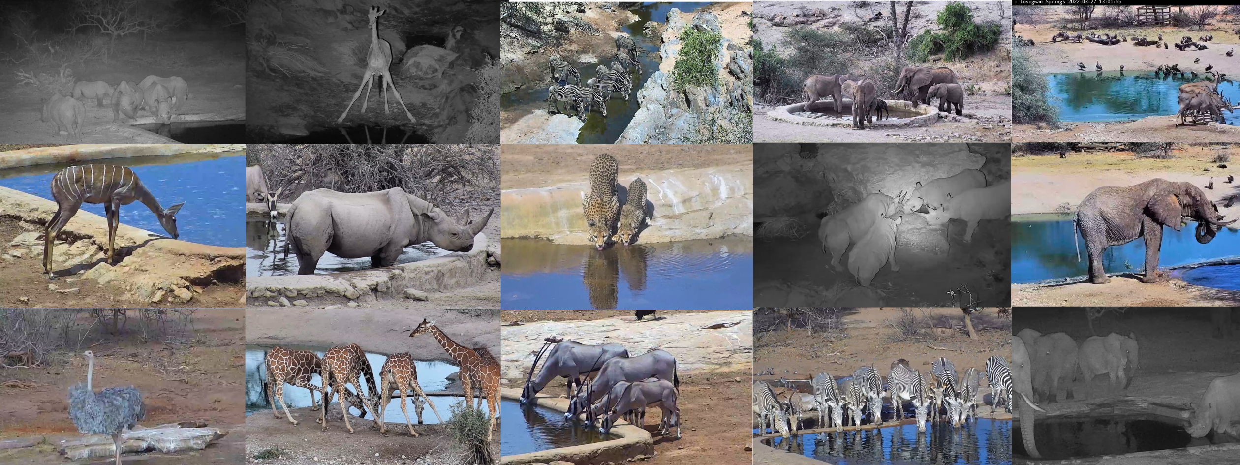 FINAL PTZ Montage Without Black Gradient