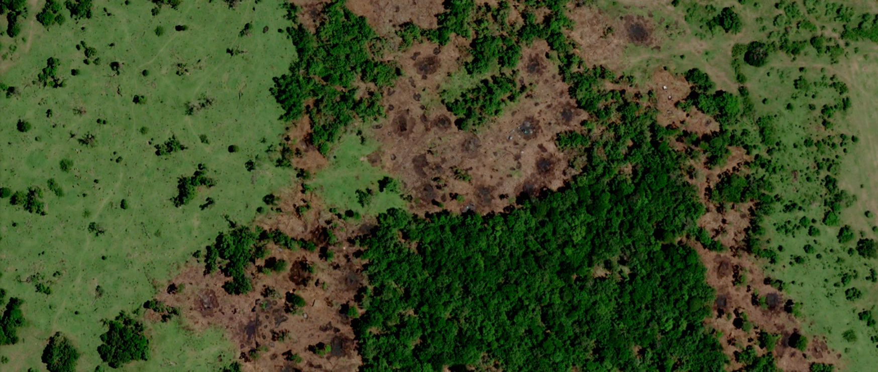 Nyakweri Forest, Kenya Pleiades Neo (C) Airbus DS 2023