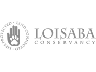 Loisaba Conservancy