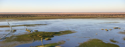 African Parks Project Banner