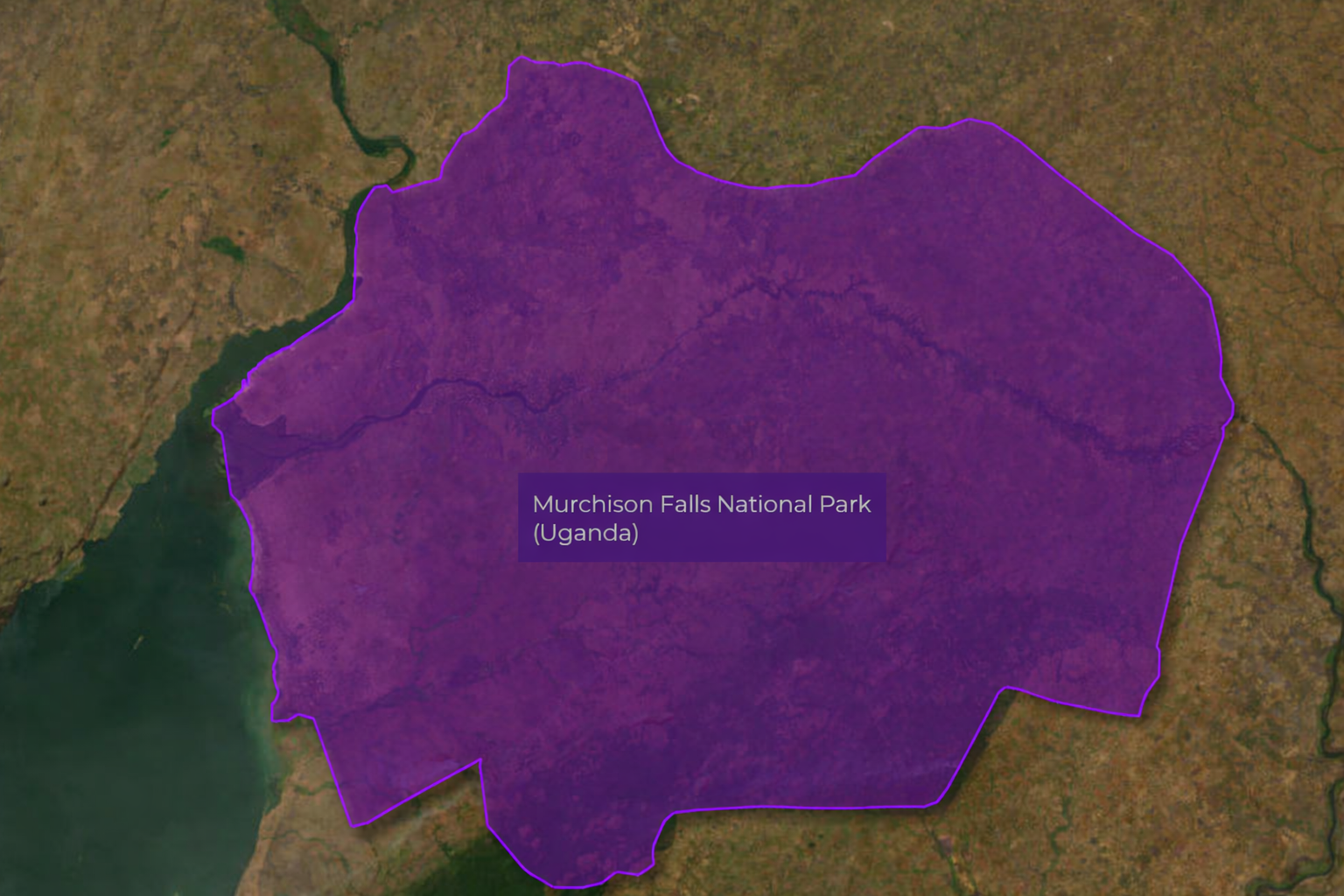 Chatgpt Image Jan 20, 2026, 04 46 22 PM