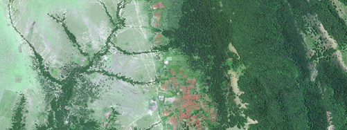 NEWS BANNERS Loita Forest, Masaai Mara, Pléiades Neo © Ds (2024) Distribution AIRBUS DS (2880 X 1080 Px)